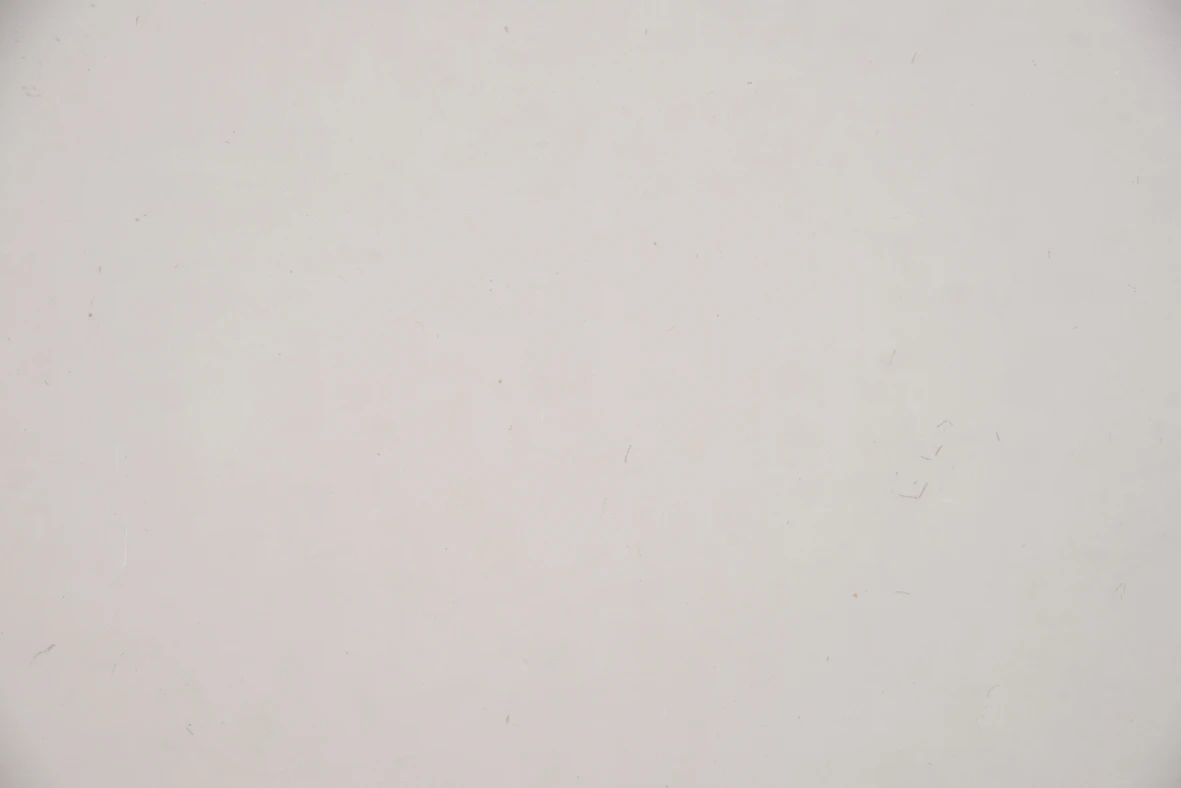 Limestone Caliza Blanca Di Marmore