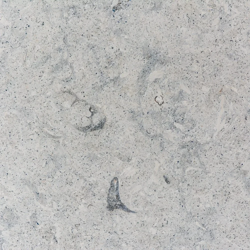 Limestone Cinza Mistico Di Marmore