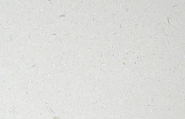 Limestone Piedra Paloma Di Marmore