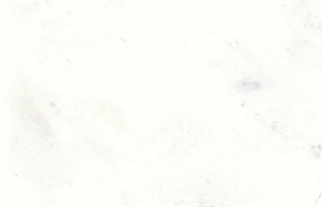 Marmore Branco Sivec A Di Marmore