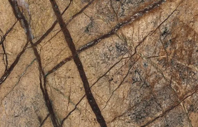 Marmore Rain Forest Brown Di Marmore