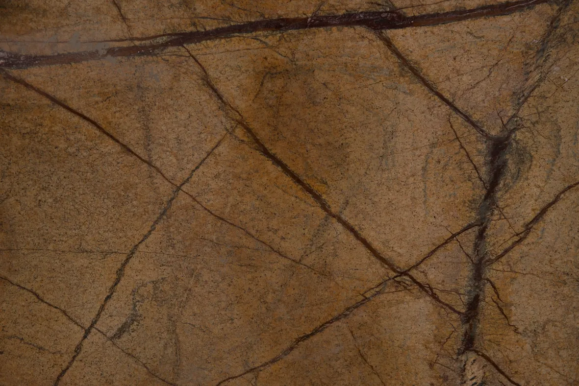 Marmore Rain Forest Gold Di Marmore