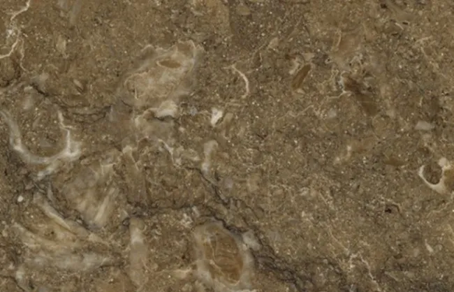 Marmore Rasotica Brown Di Marmore