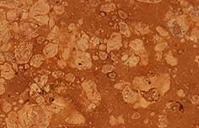 Marmore Rosso Verona Scuro Di Marmore