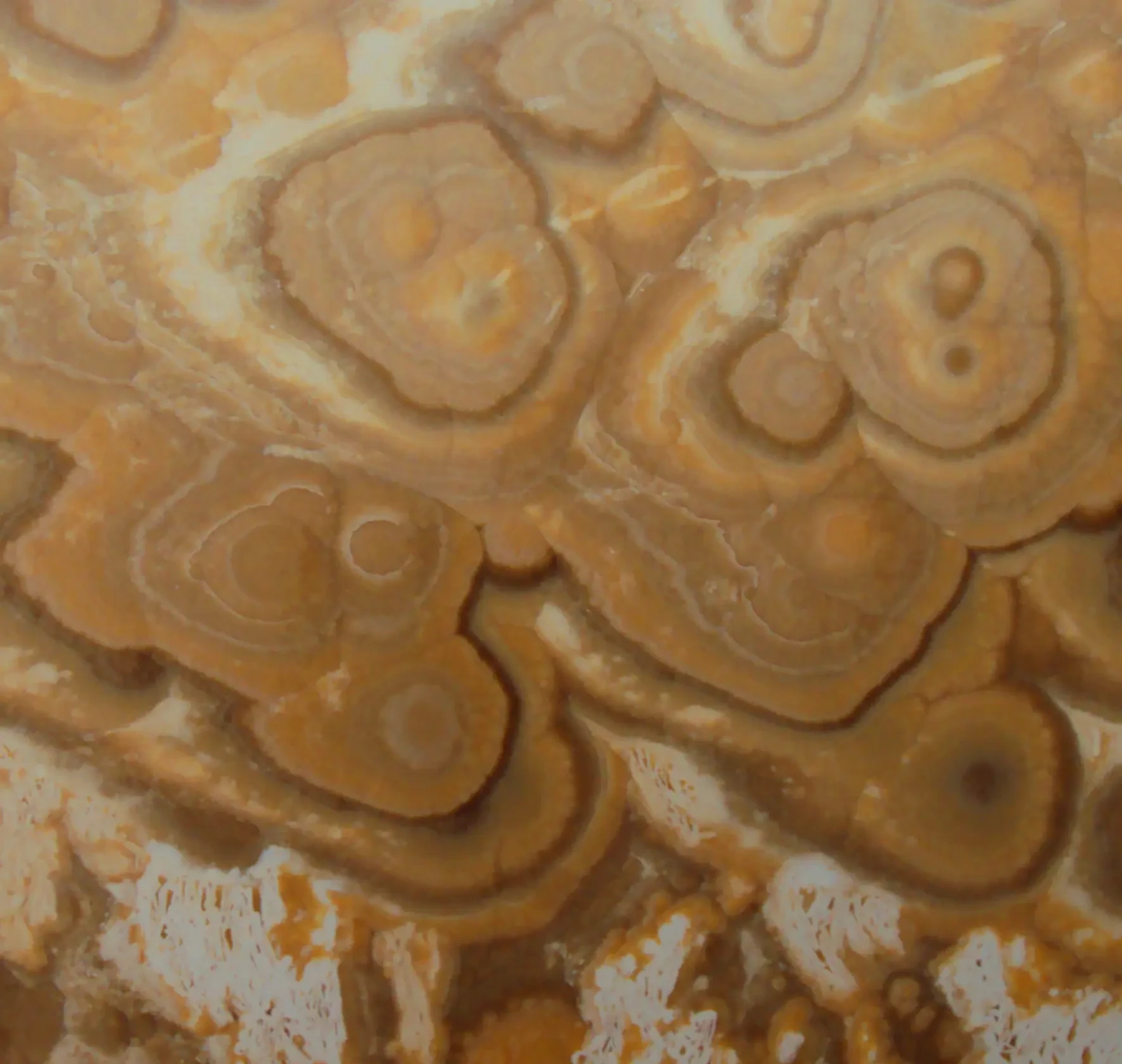 Onix Miele Di Marmore