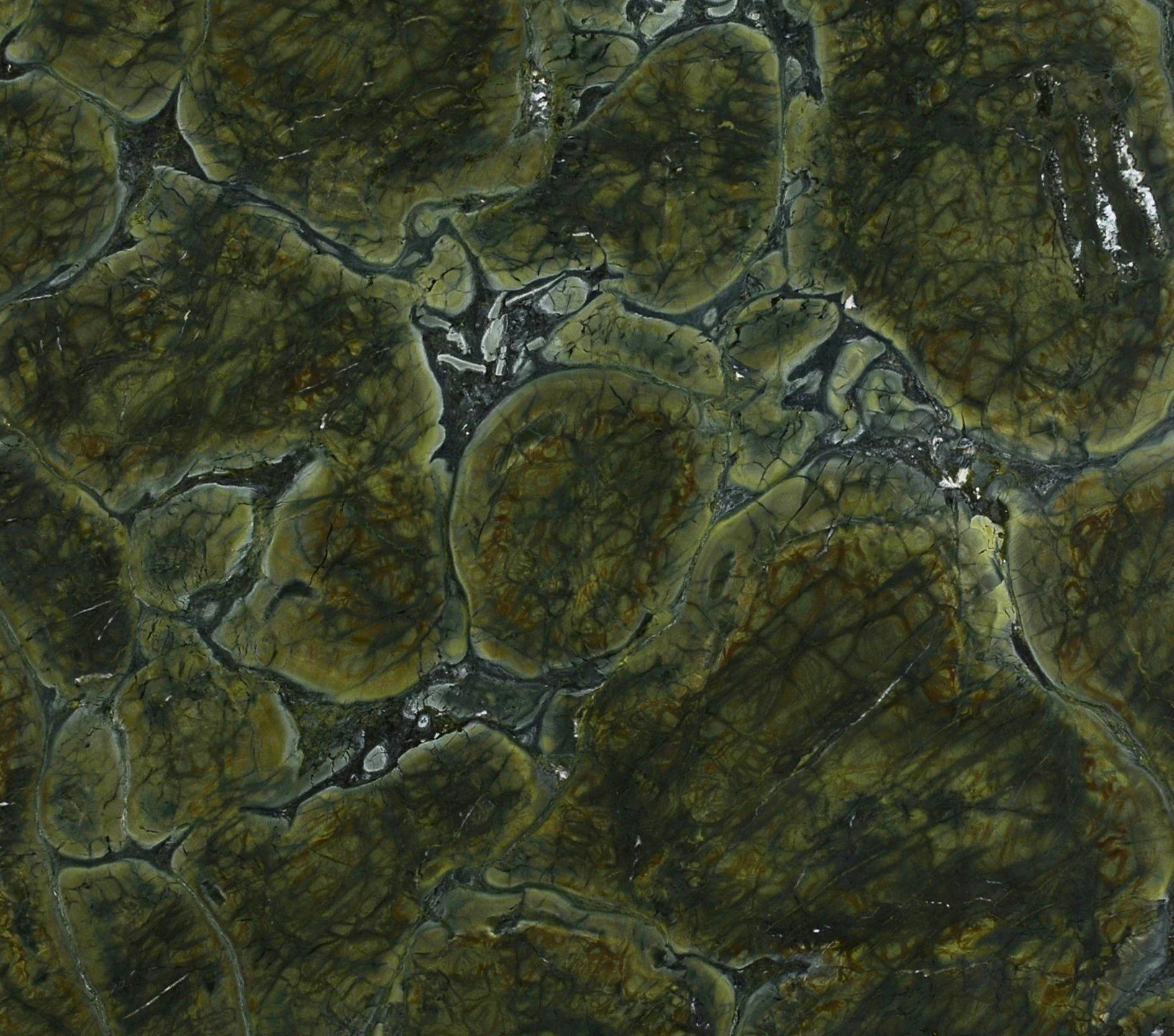 Quartzito Vitoria Regia Di Marmore