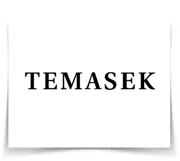 temasek-engenharia-construtora-di-marmore