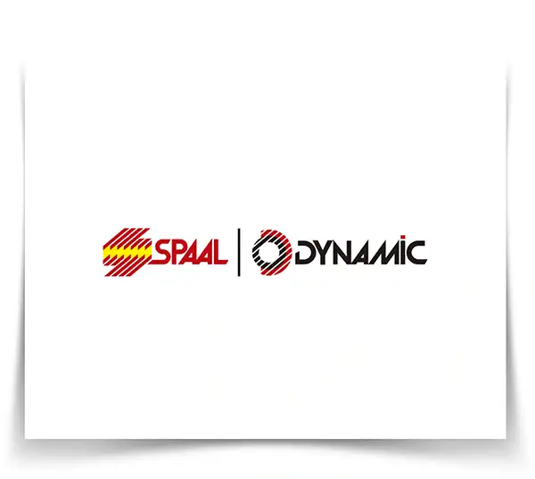 spaal-dynamic-autos-di-marmore