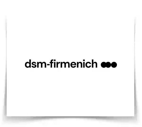 dsm-firmenich-quimica-di-marmore