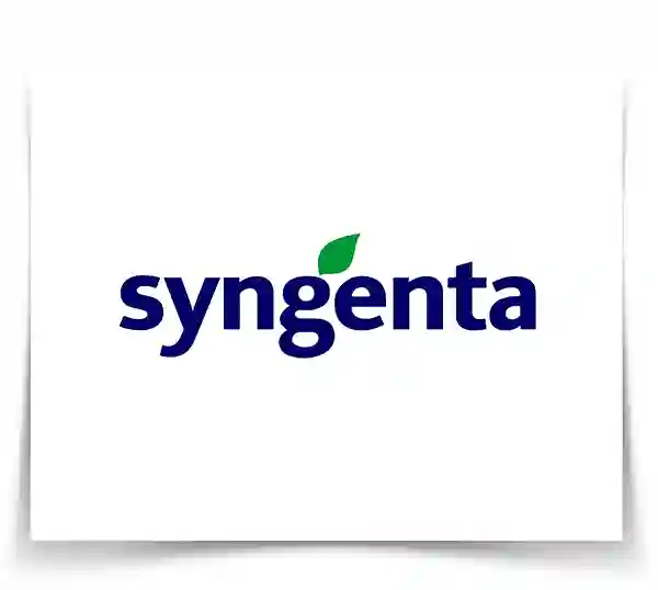 syngenta-quimica-di-marmore
